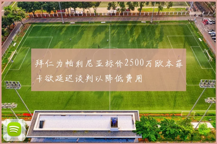 拜仁为帕利尼亚标价2500万欧本菲卡欲延迟谈判以降低费用